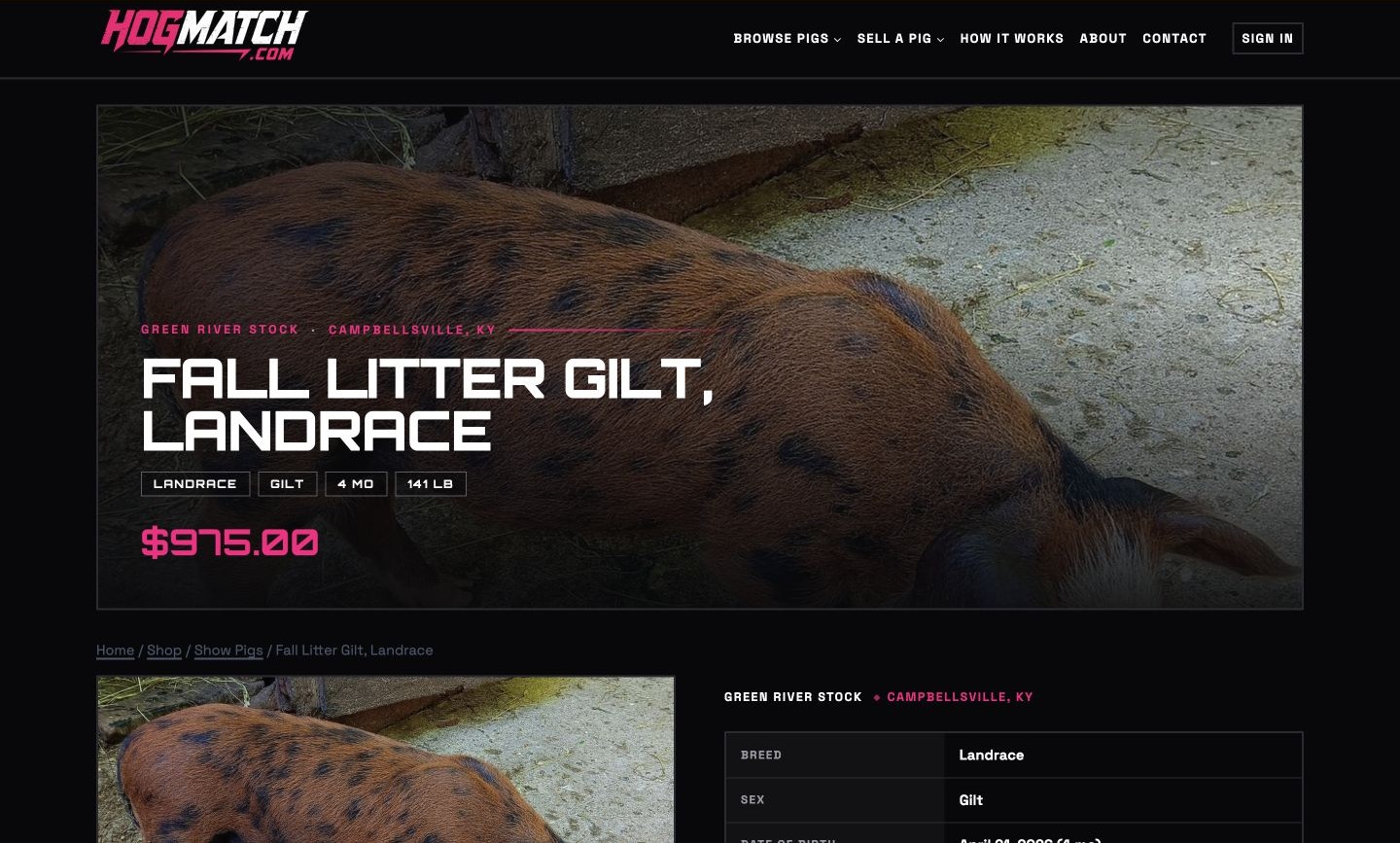 Exact capture of the HogMatch pig detail page on a 1440-pixel desktop.