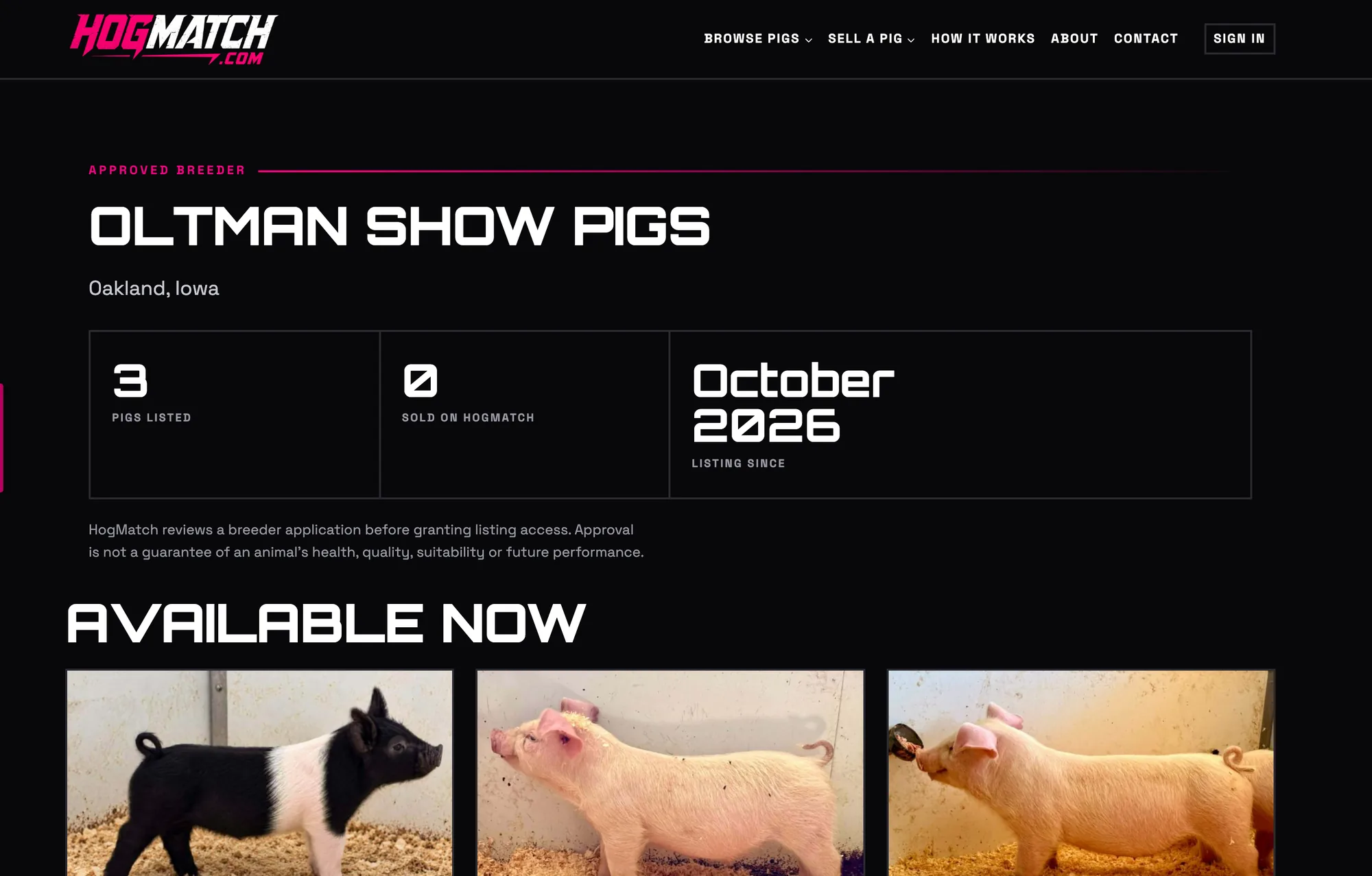 An approved breeder storefront on HogMatch with pigs listed and the date they started listing