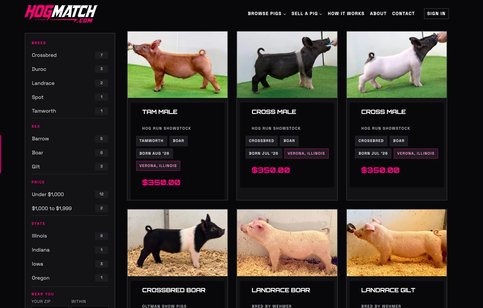 The live HogMatch shop: show pigs for sale with photos, breeder, breed, sex, birth date, location and price, beside a filter rail